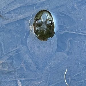 As discussed in our conversation